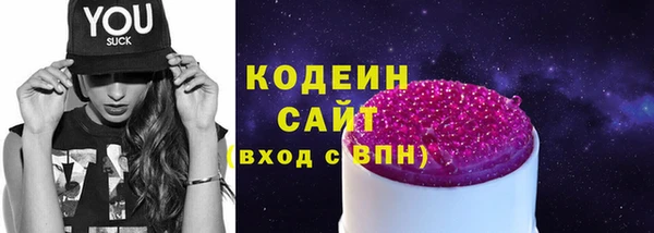 мдпв Осташков