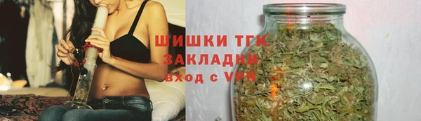 мдпв Осташков