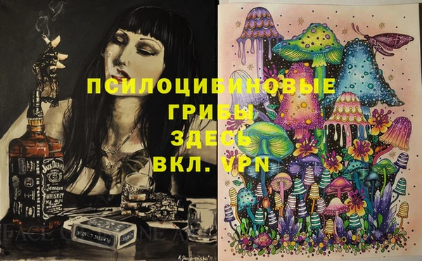 mdpv Осинники