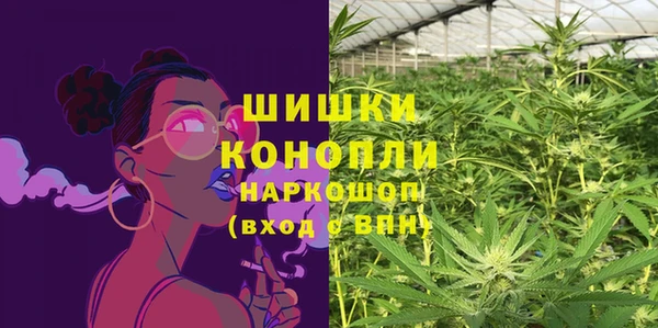шишки Болхов
