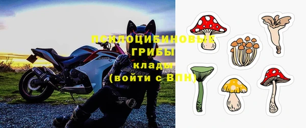 мдпв Осташков